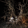 piante zona bassa 15.JPG