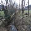 DSC05560.jpg