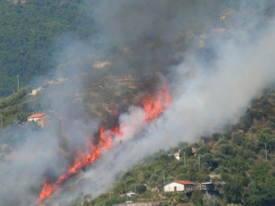 Incendio boschivo Incendio boschivo