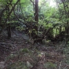 Alveo Rio Cresto 3.JPG