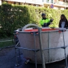 20160428_083018.jpg