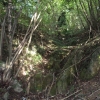 Alveo Rio Cresto 2.JPG