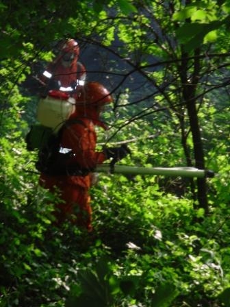 incendio boschivo