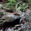 Rio Combalasso 4.JPG